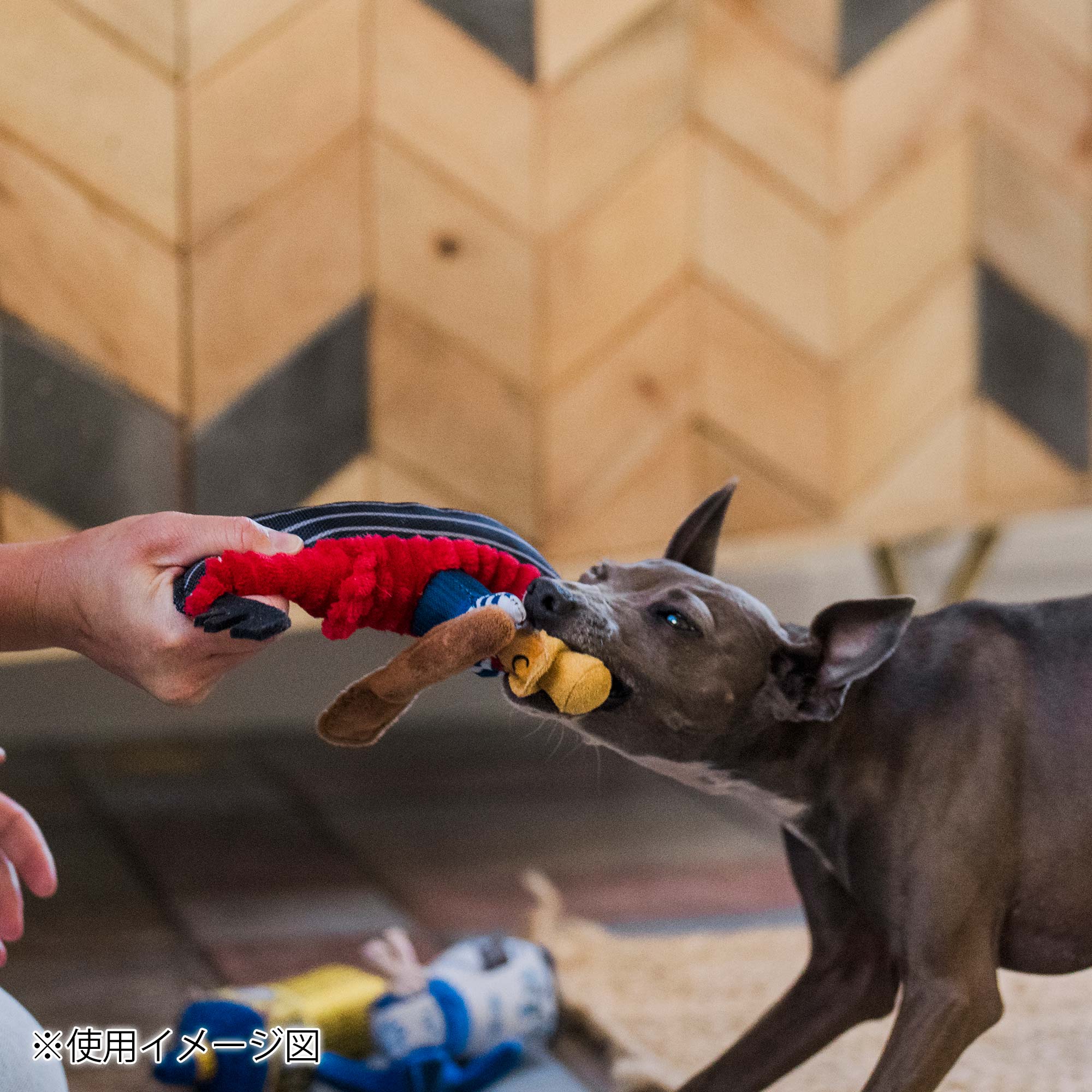 プレイ 犬用おもちゃ トータリーツーリスティー – ルークランオンライン
