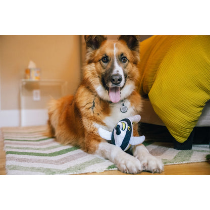 プレイ　犬用おもちゃ　オーシャンバディーズ