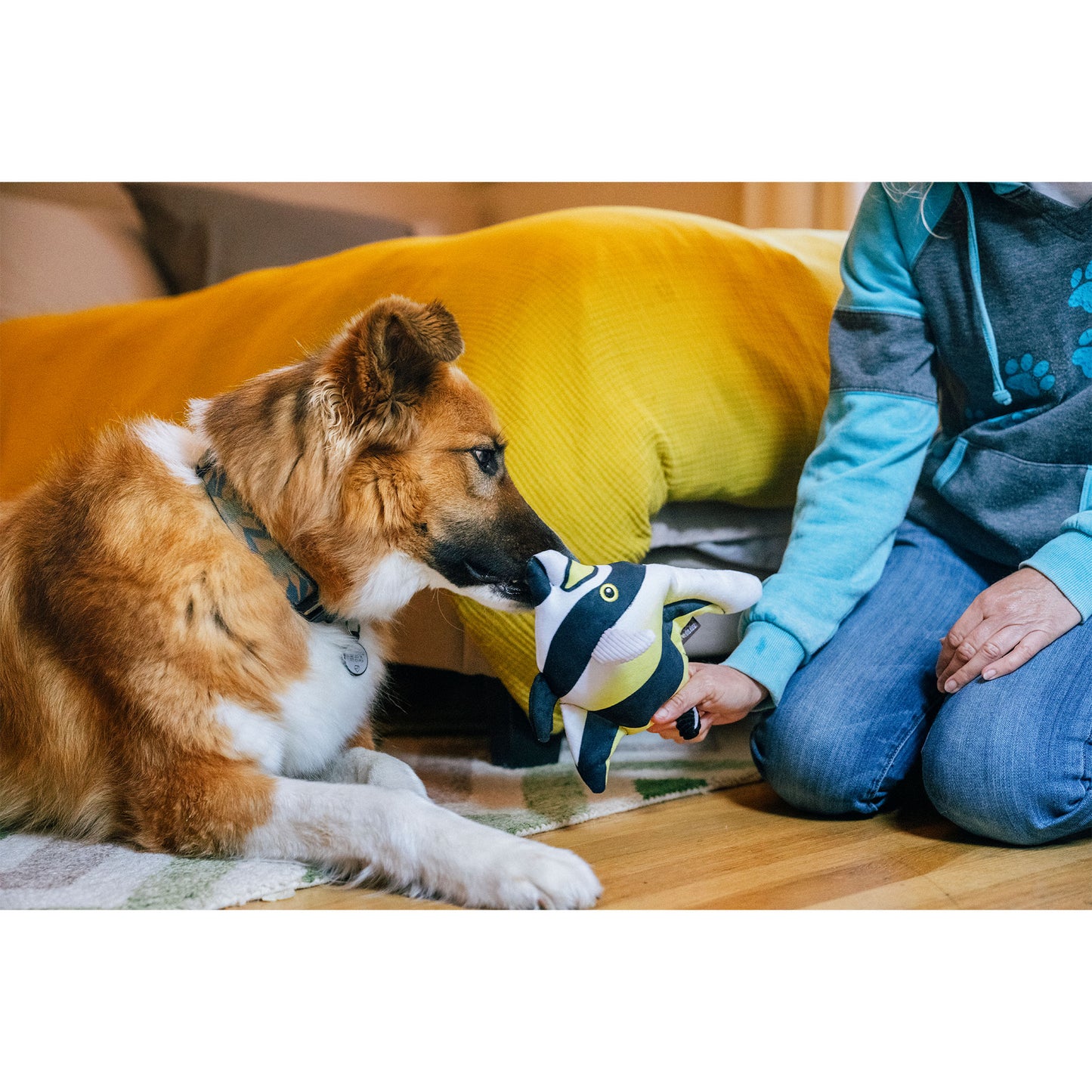 プレイ　犬用おもちゃ　オーシャンバディーズ