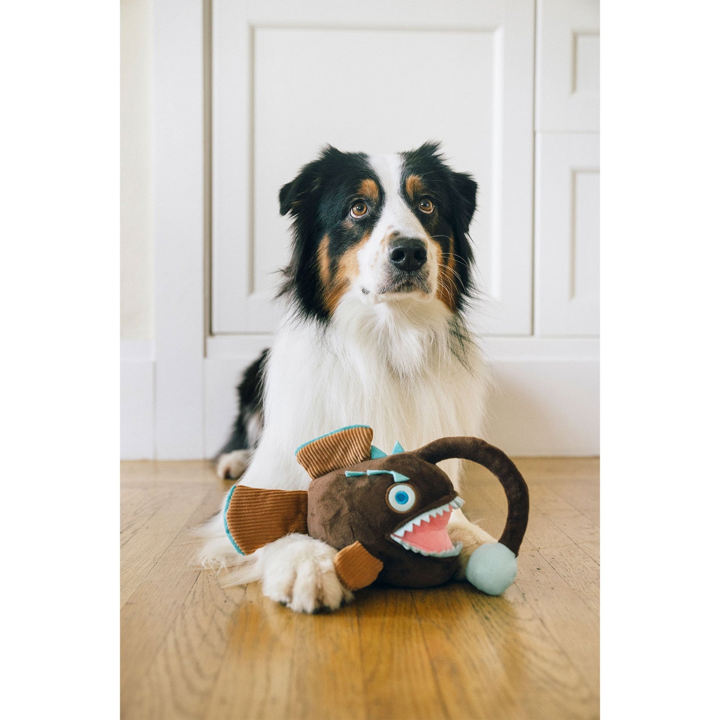 プレイ　犬用おもちゃ　オーシャンバディーズ