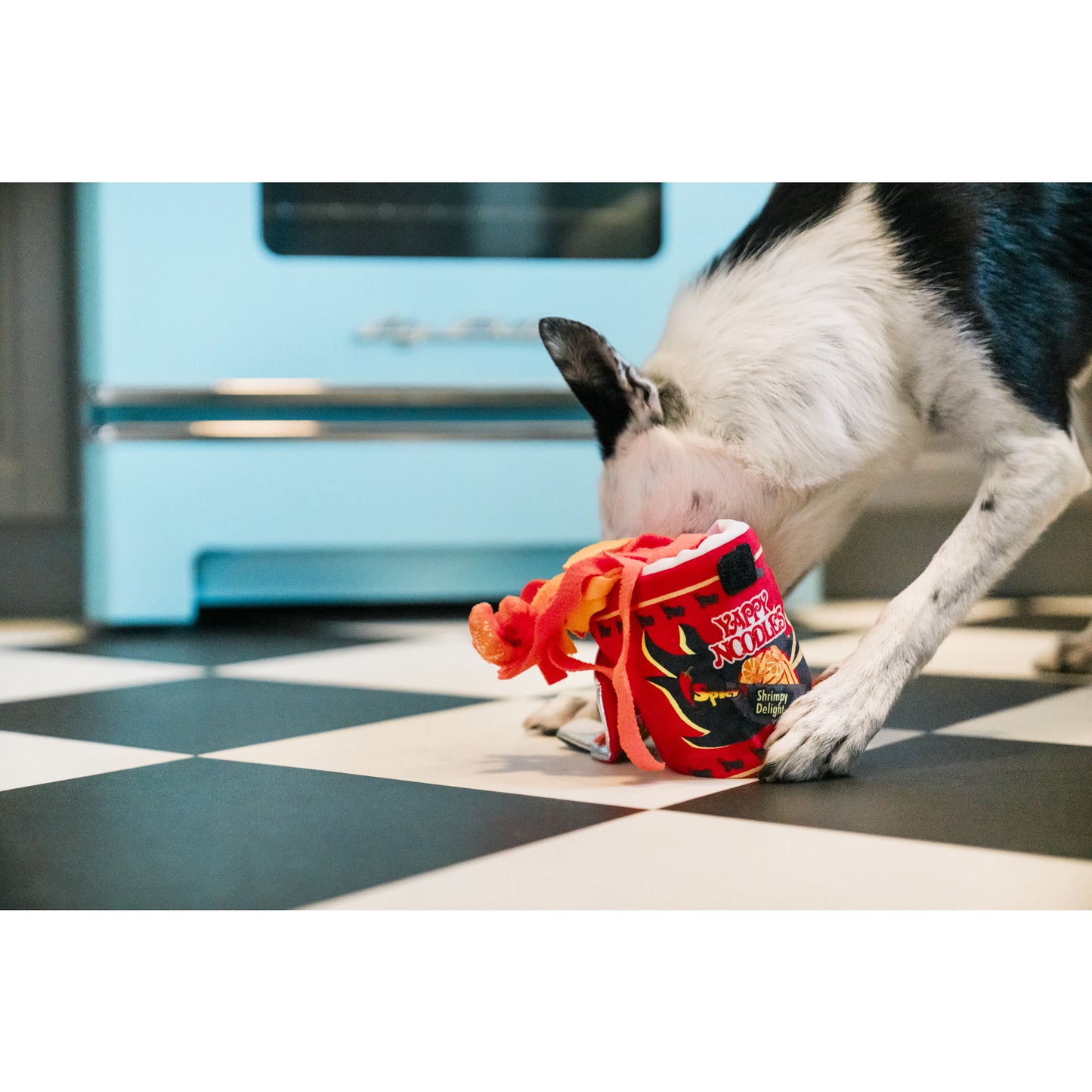 プレイ　犬用おもちゃ　インターナショナルクラシック ヤッピーヌードル