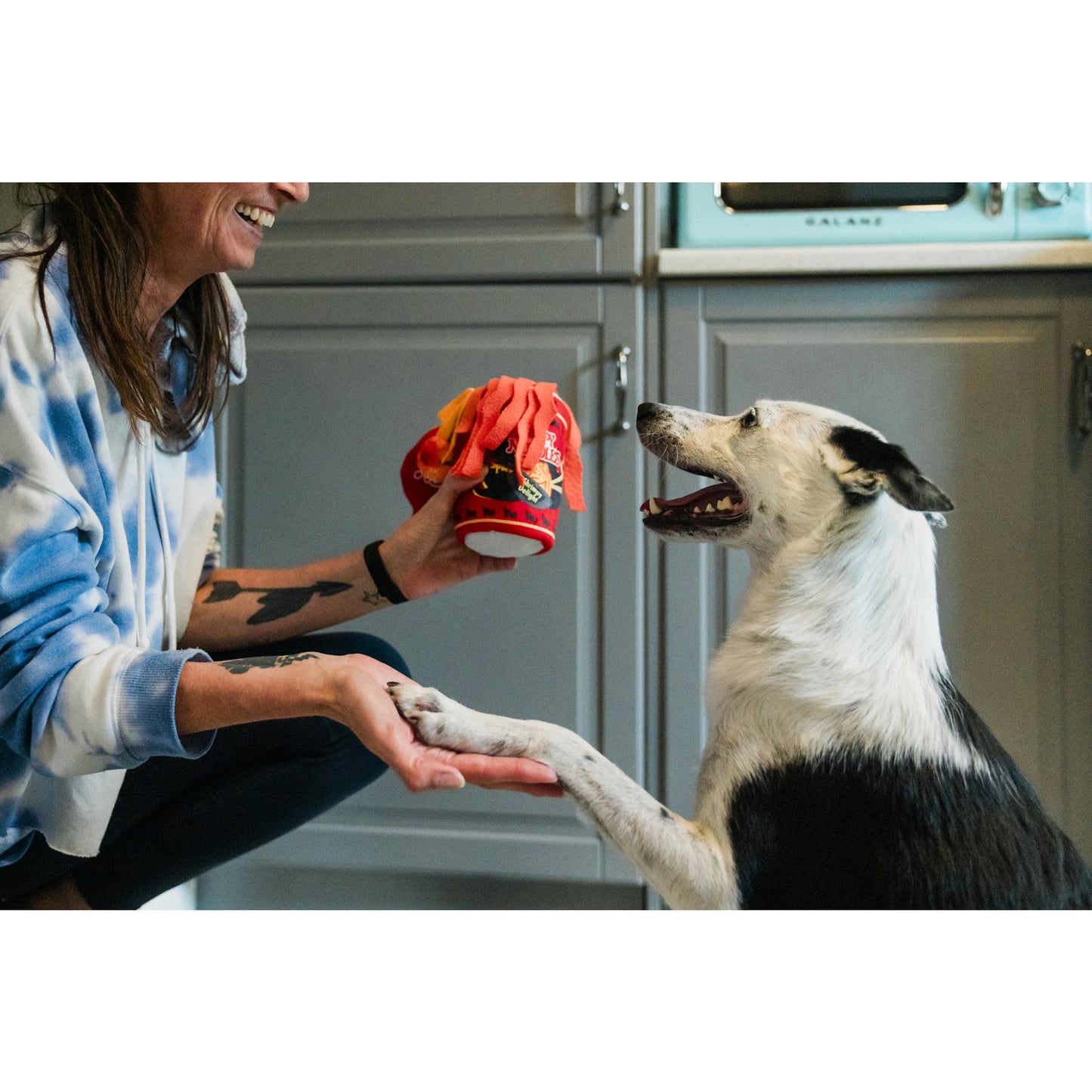 プレイ　犬用おもちゃ　インターナショナルクラシック ヤッピーヌードル