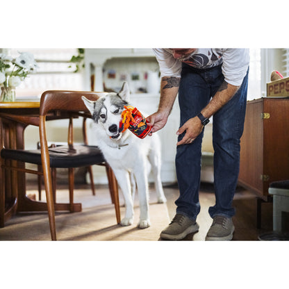 プレイ　犬用おもちゃ　インターナショナルクラシック ヤッピーヌードル