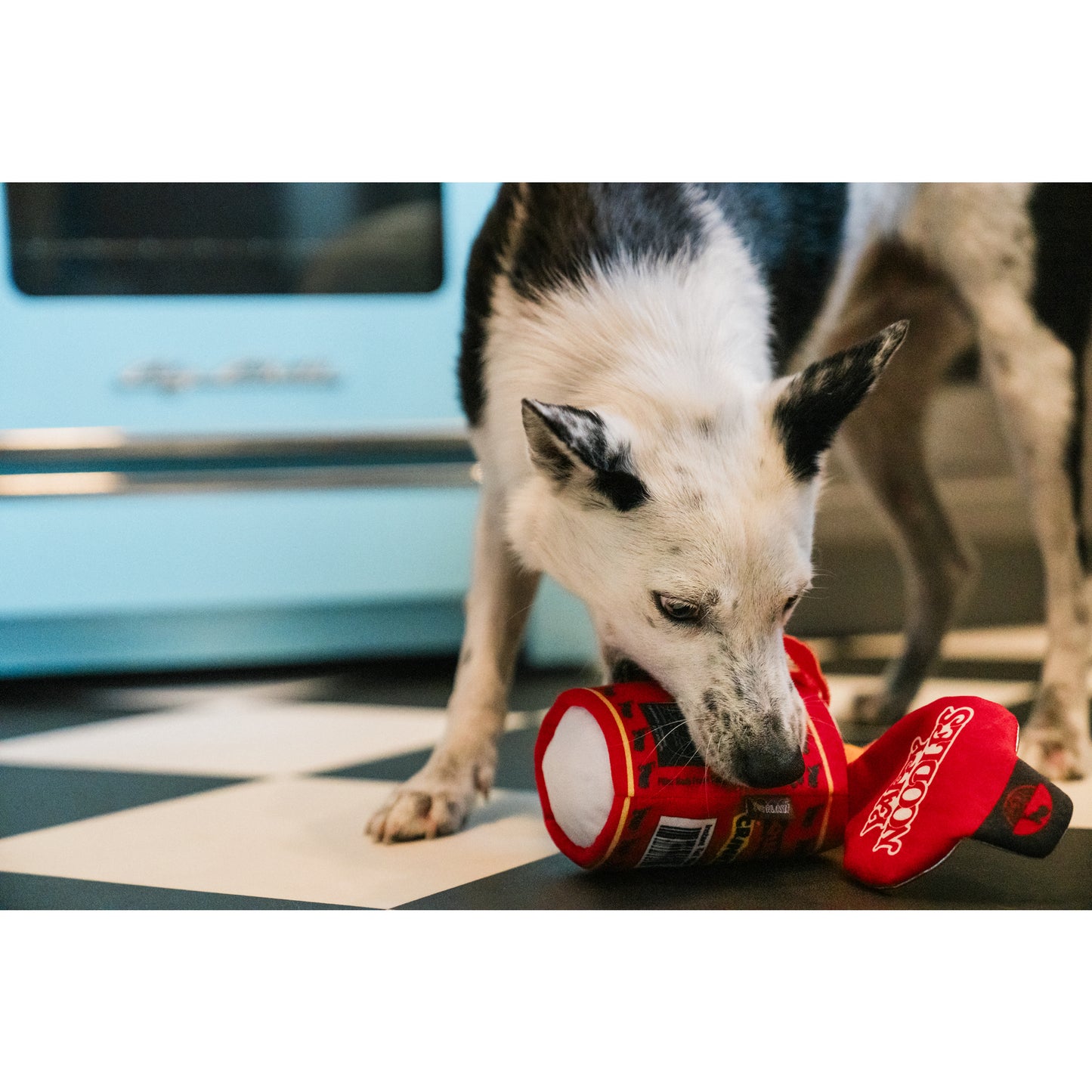 プレイ　犬用おもちゃ　インターナショナルクラシック ヤッピーヌードル