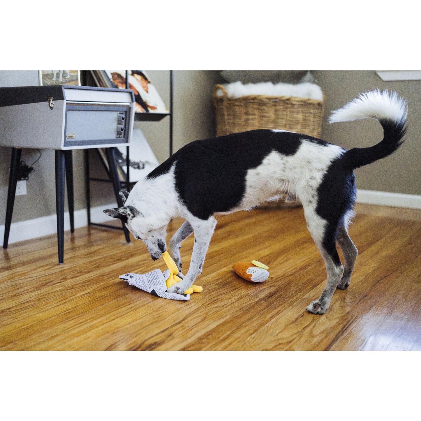プレイ　犬用おもちゃ　インターナショナルクラシック フィッシュアンドチップス