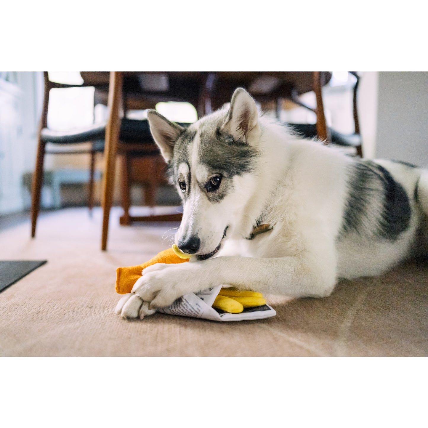 プレイ　犬用おもちゃ　インターナショナルクラシック フィッシュアンドチップス