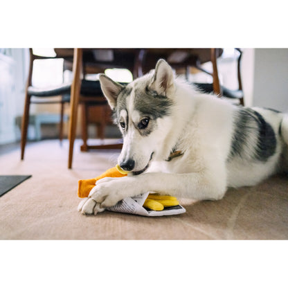 プレイ　犬用おもちゃ　インターナショナルクラシック フィッシュアンドチップス