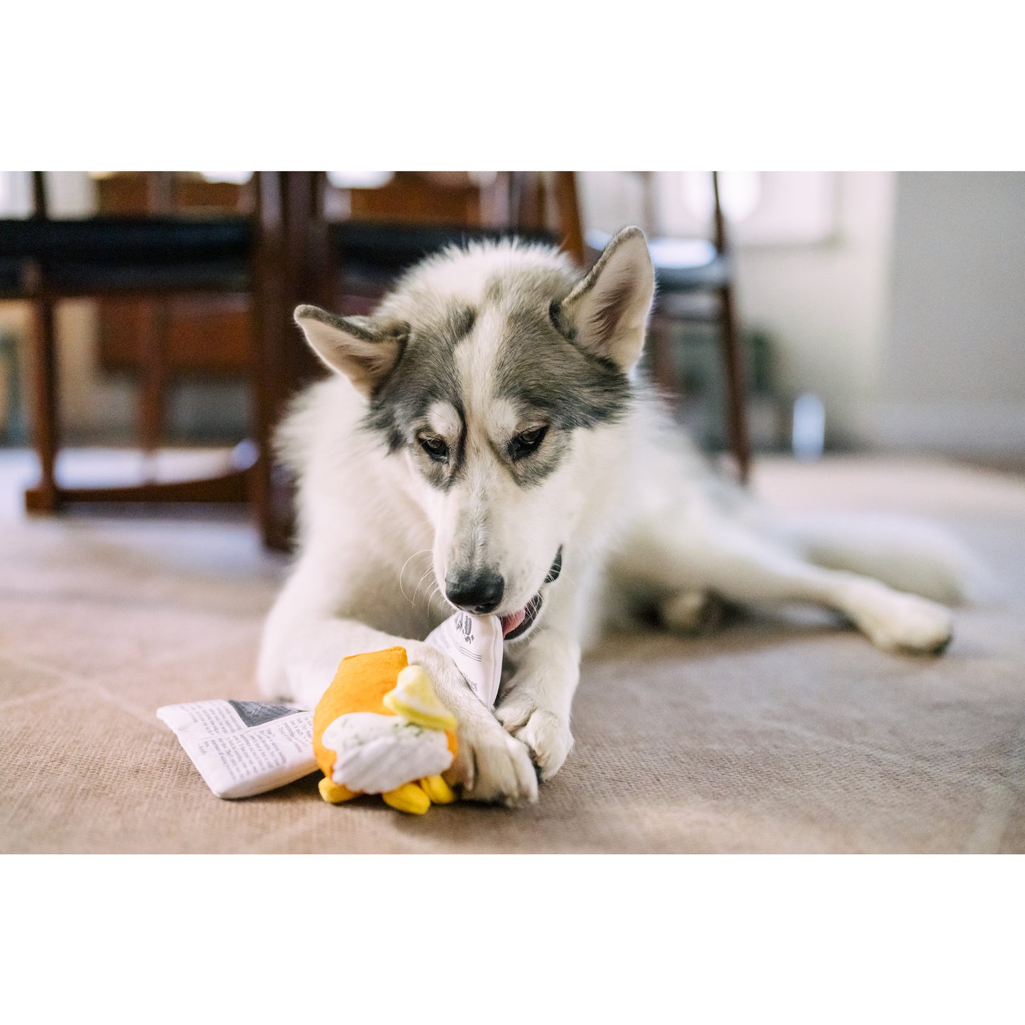プレイ　犬用おもちゃ　インターナショナルクラシック フィッシュアンドチップス