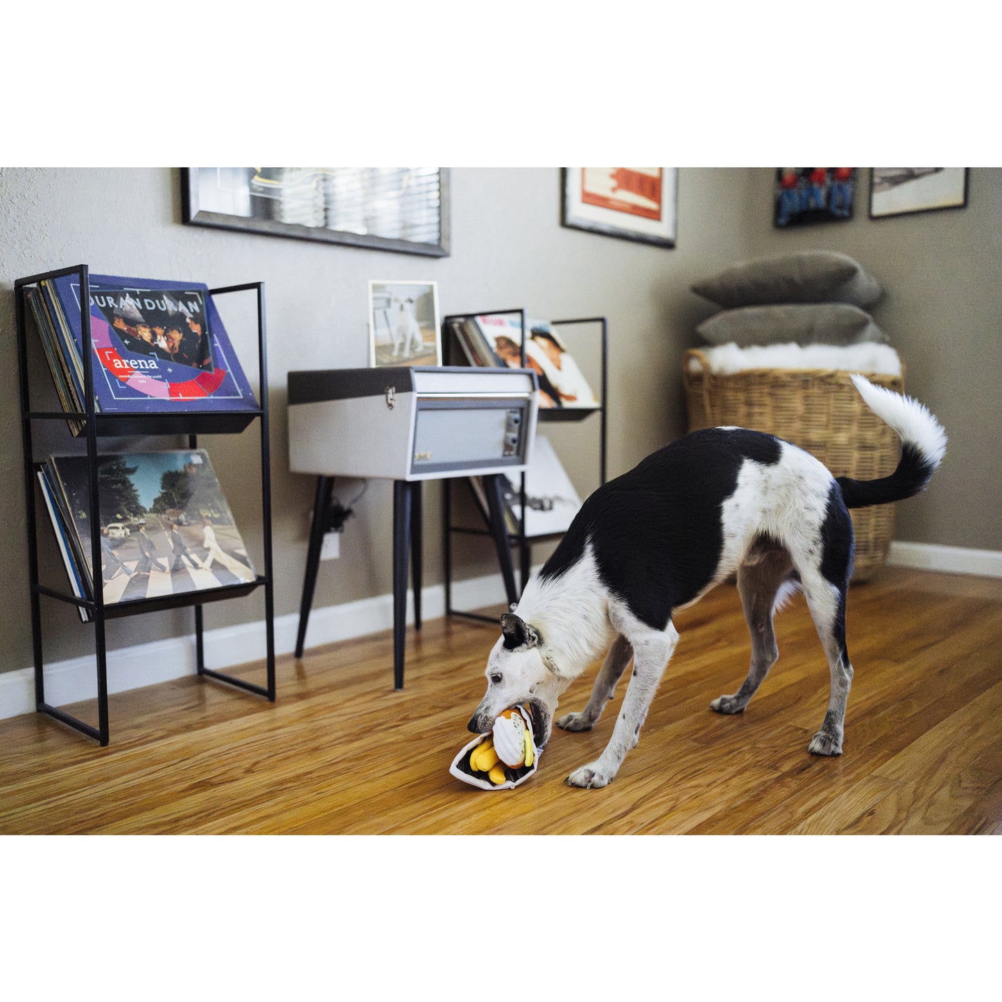 プレイ　犬用おもちゃ　インターナショナルクラシック フィッシュアンドチップス