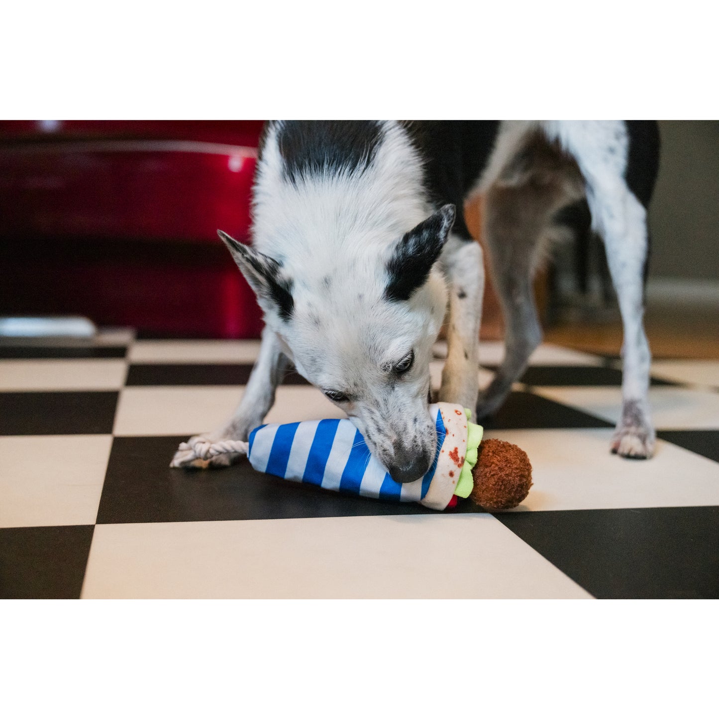 プレイ　犬用おもちゃ　インターナショナルクラシック ファラフェルラップ