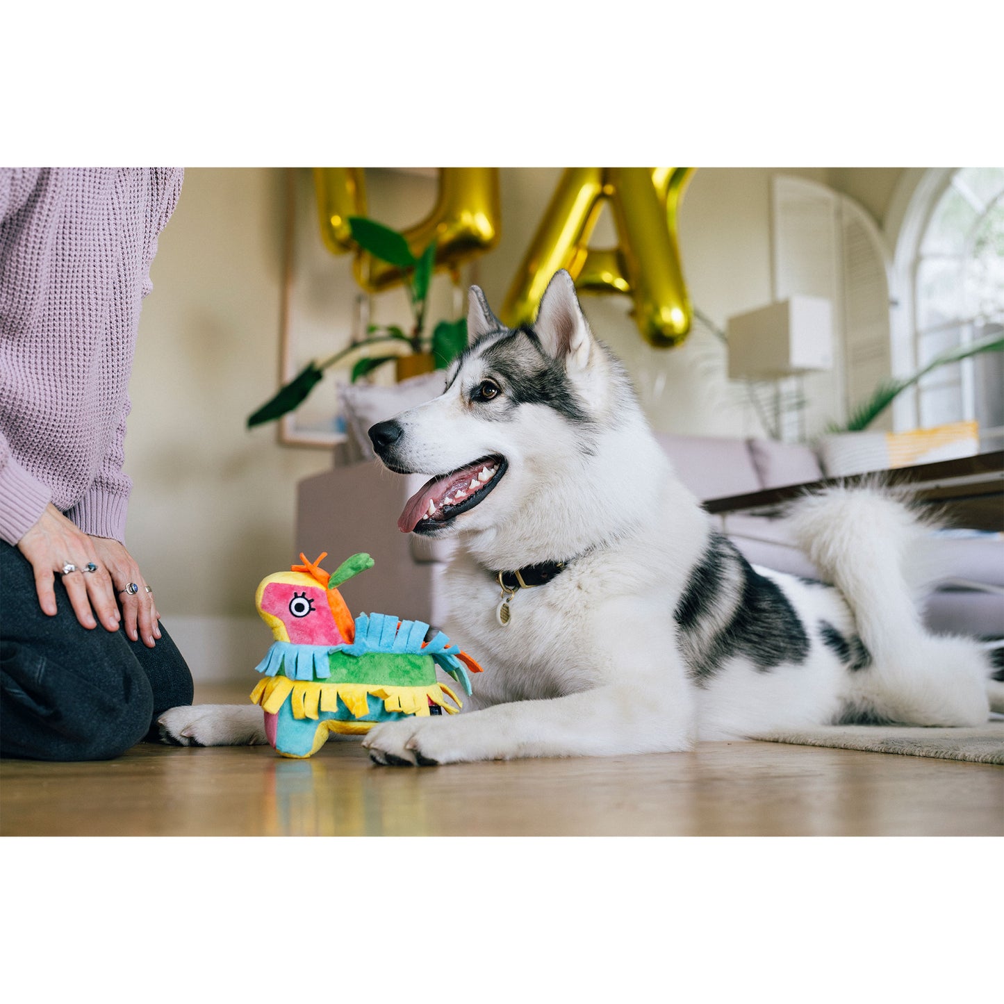 プレイ　犬用おもちゃ　パーティーアニマルズ