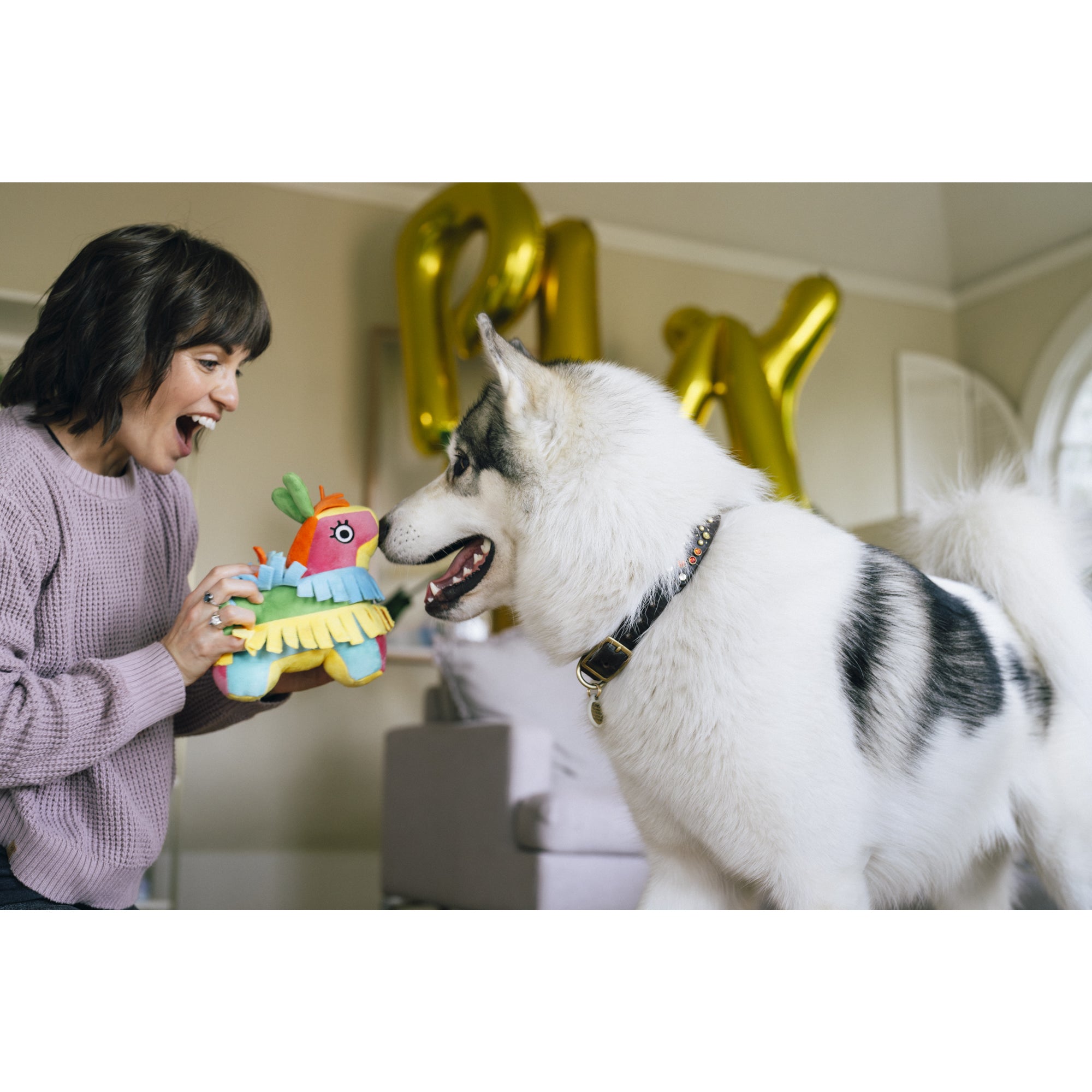 LGB パーティーアニマルズ タンクトップ プレイ 犬用おもちゃ パーティーアニマルズ – ルークランオンライン