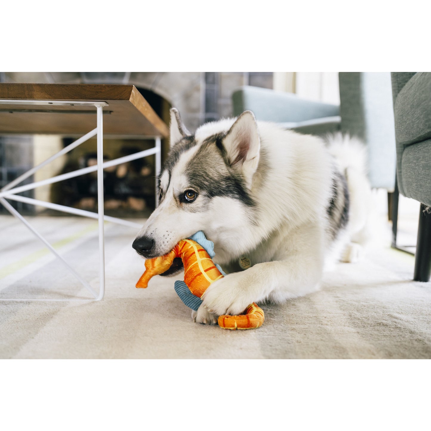 プレイ　犬用おもちゃ　オーシャンバディーズ
