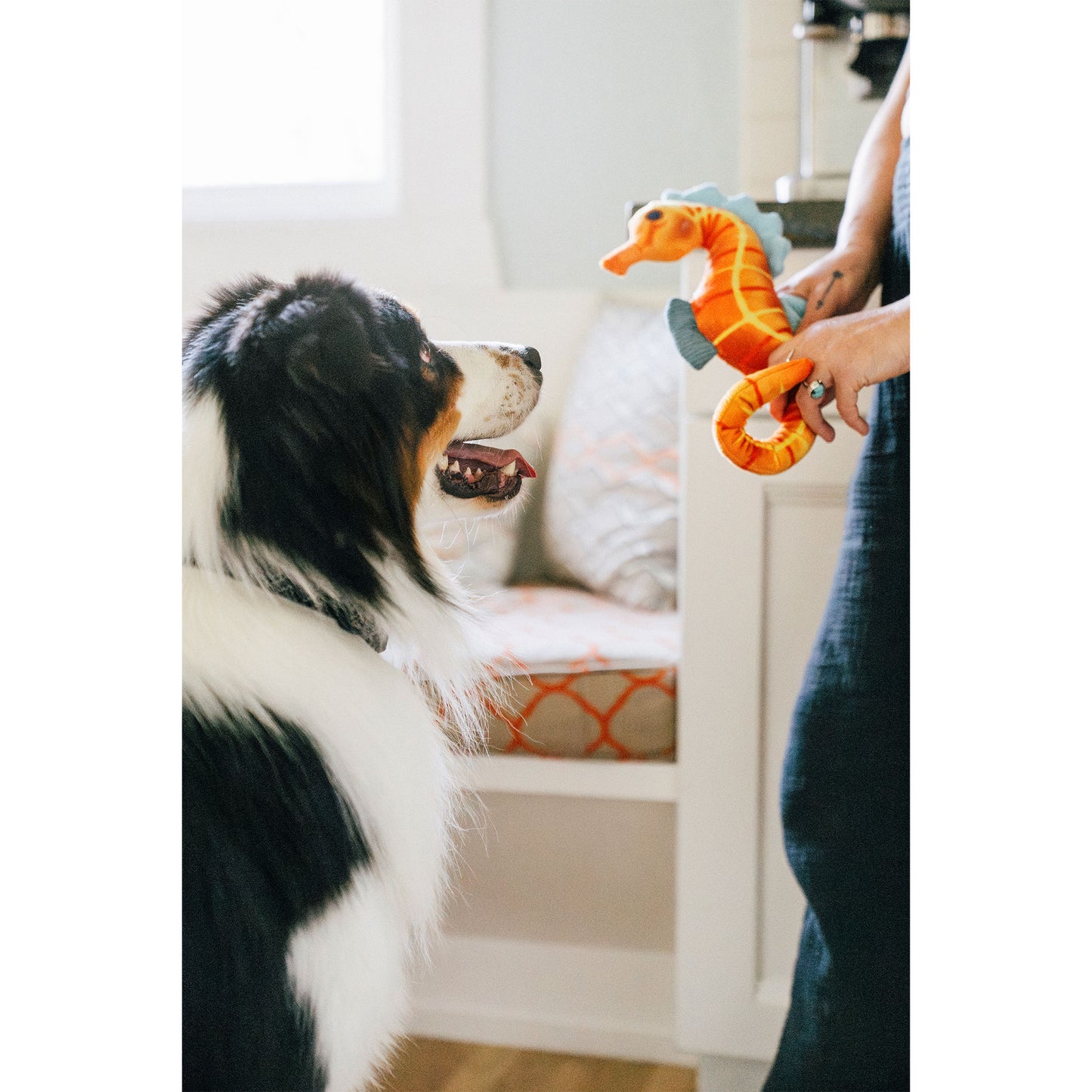 プレイ　犬用おもちゃ　オーシャンバディーズ
