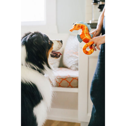 プレイ　犬用おもちゃ　オーシャンバディーズ