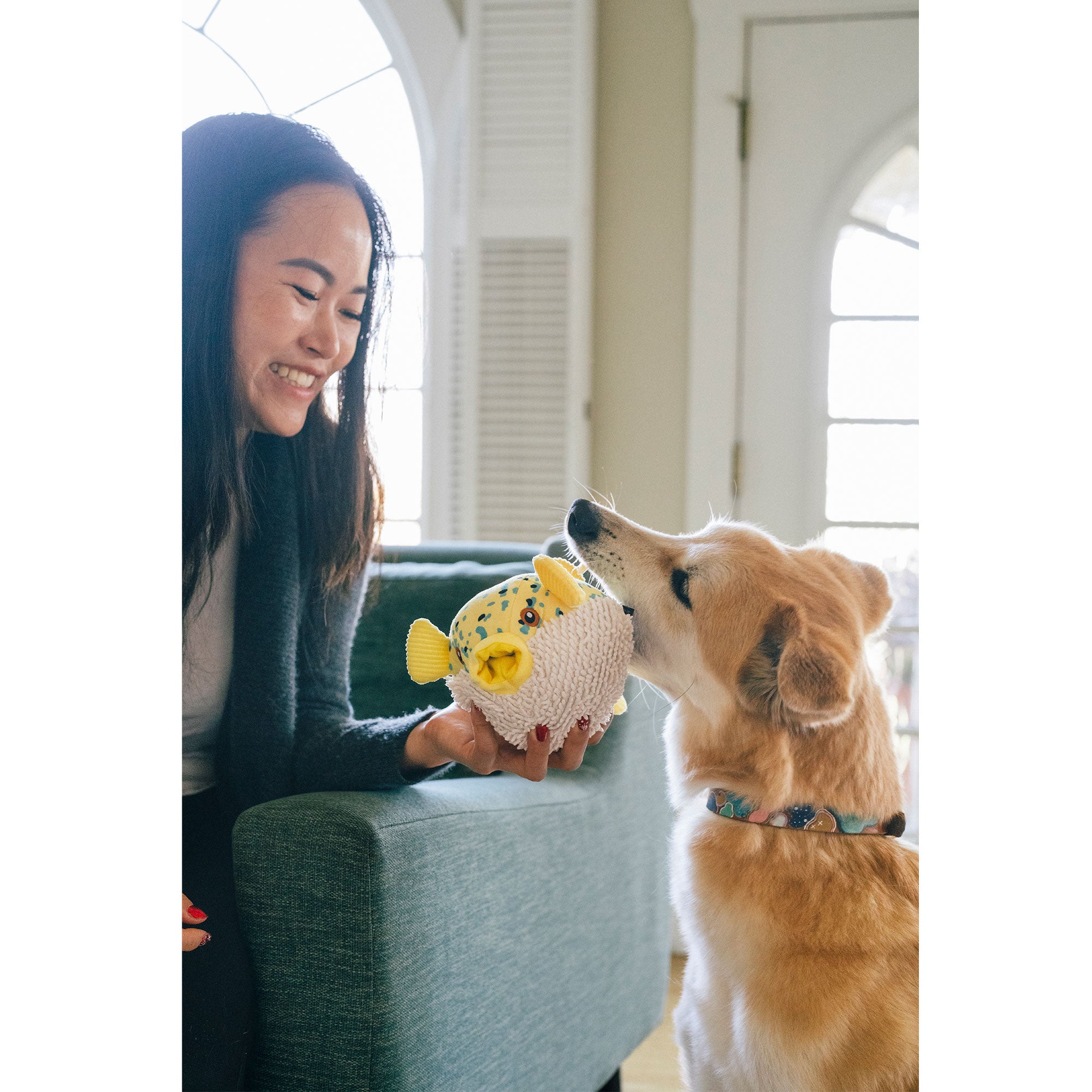 愛犬ルークです 特集】THE RAMPAGEのRIKUさんが、愛犬・ルークくん（トイ・プードル