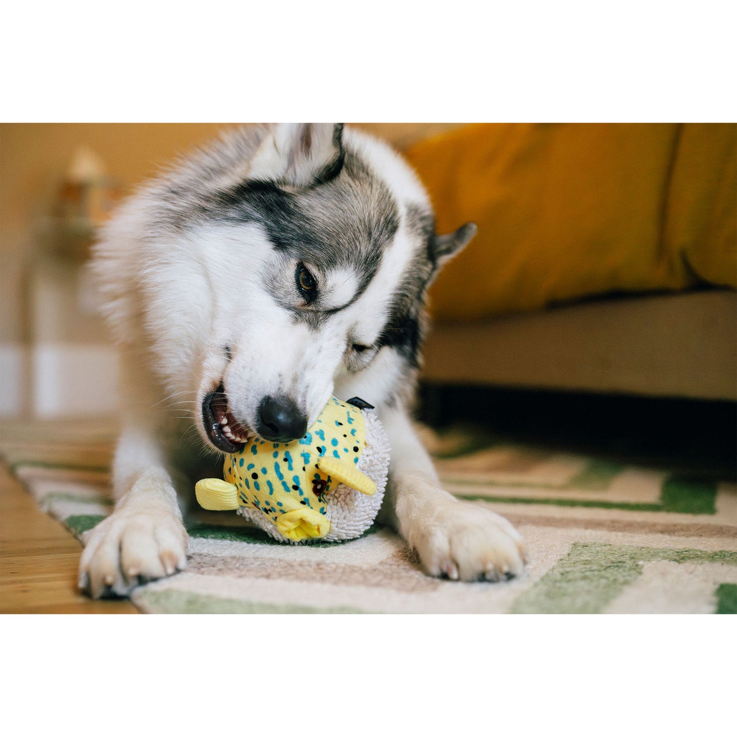 プレイ　犬用おもちゃ　オーシャンバディーズ