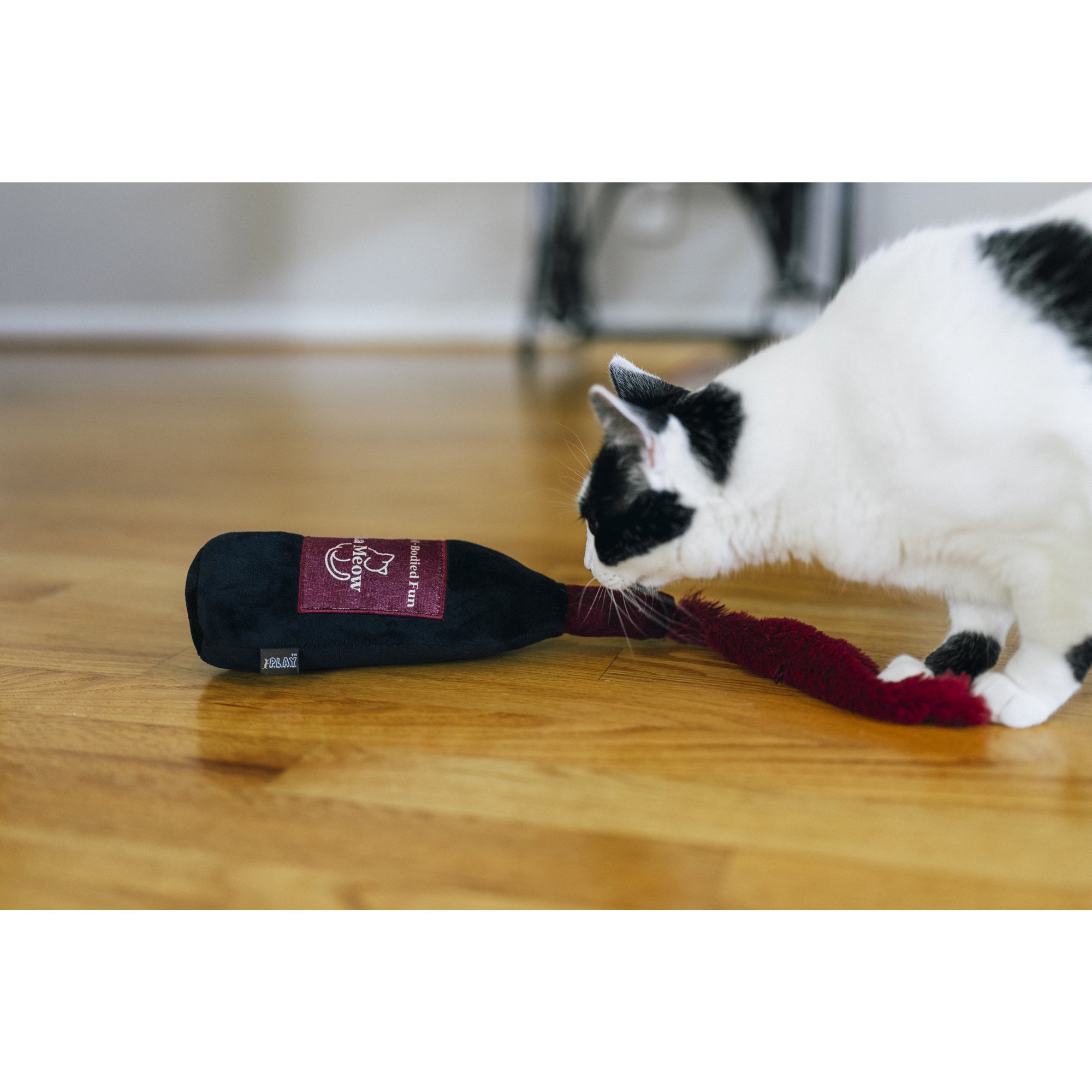 蘭ちゃん② フィーライン プレイ 猫用おもちゃ フィーラインフレンジー レッドワイン – ルーク