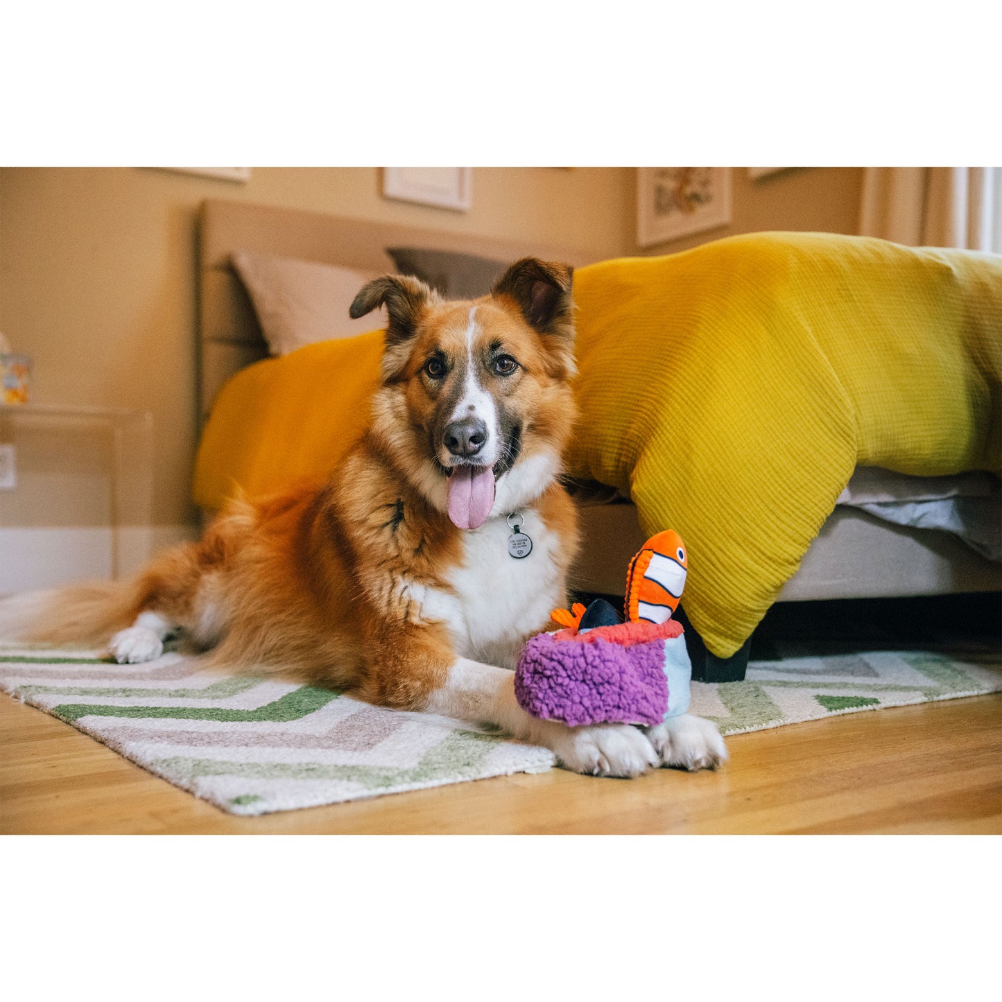 プレイ　犬用おもちゃ　オーシャンバディーズ