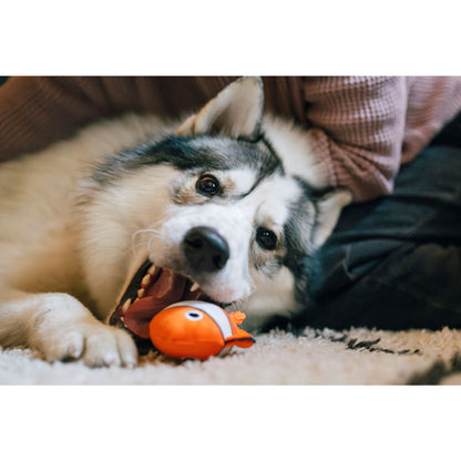 プレイ　犬用おもちゃ　オーシャンバディーズ