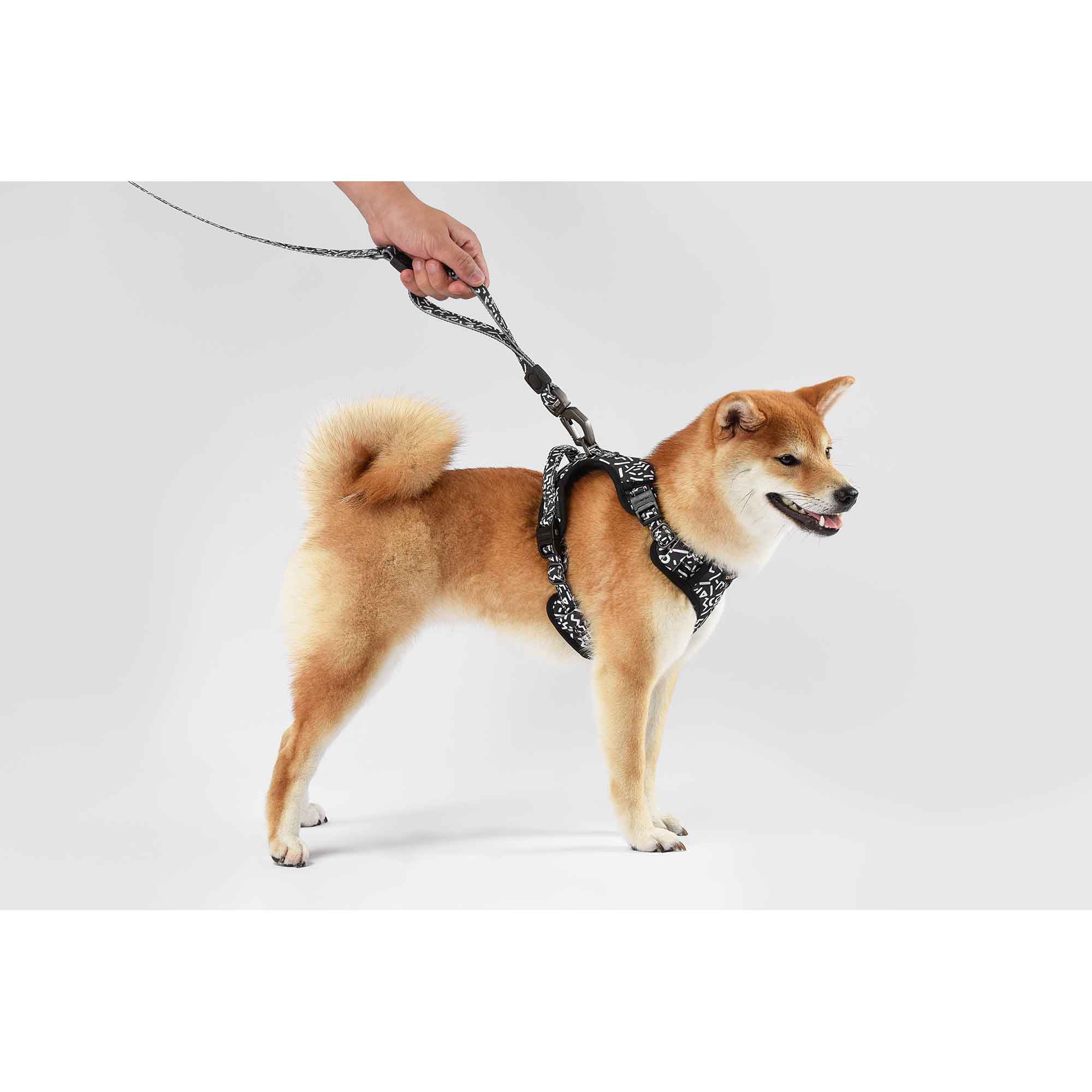 ドッグネス ハーネス エレガント ライトグレー – ルークランオンライン