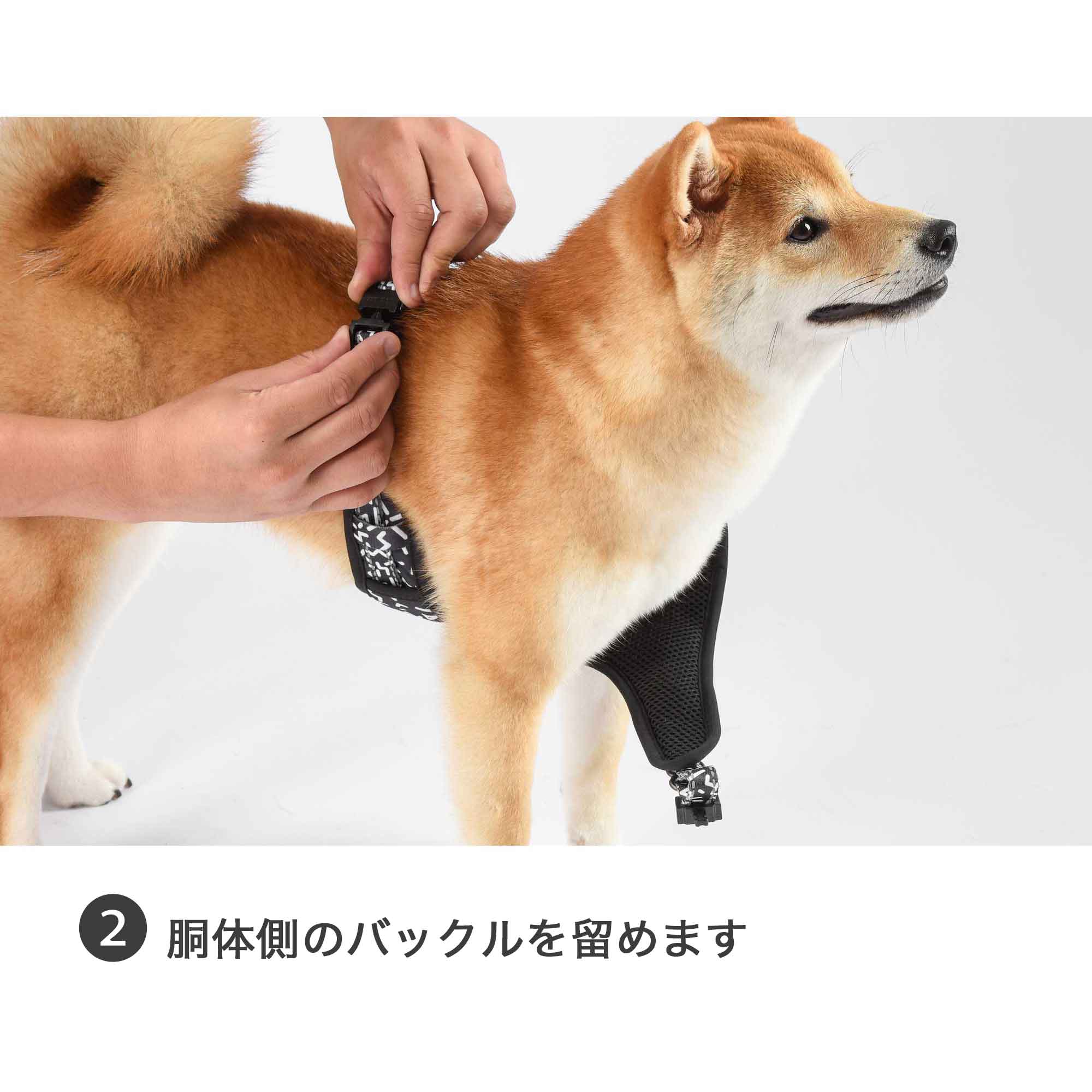 ドッグネス ハーネス エレガント フォゲットミーノット – ルークラン