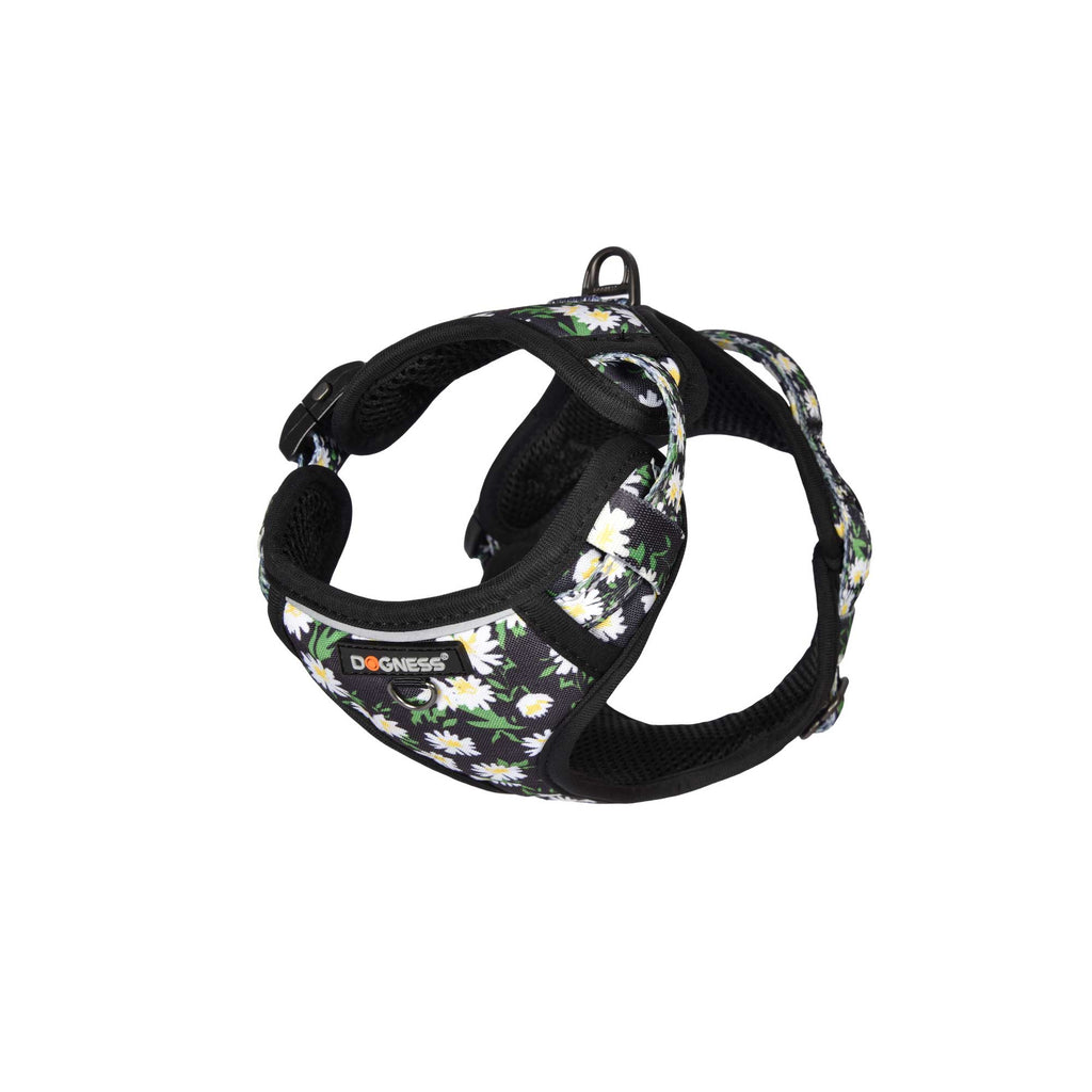 843775115506_1024x1024.jpg?v=