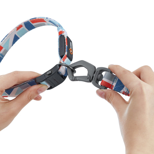 ドッグネス　リード（LED首輪とお揃い）