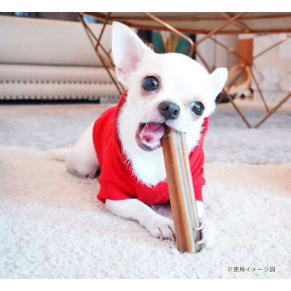 デンタルバーに食い付く小型犬