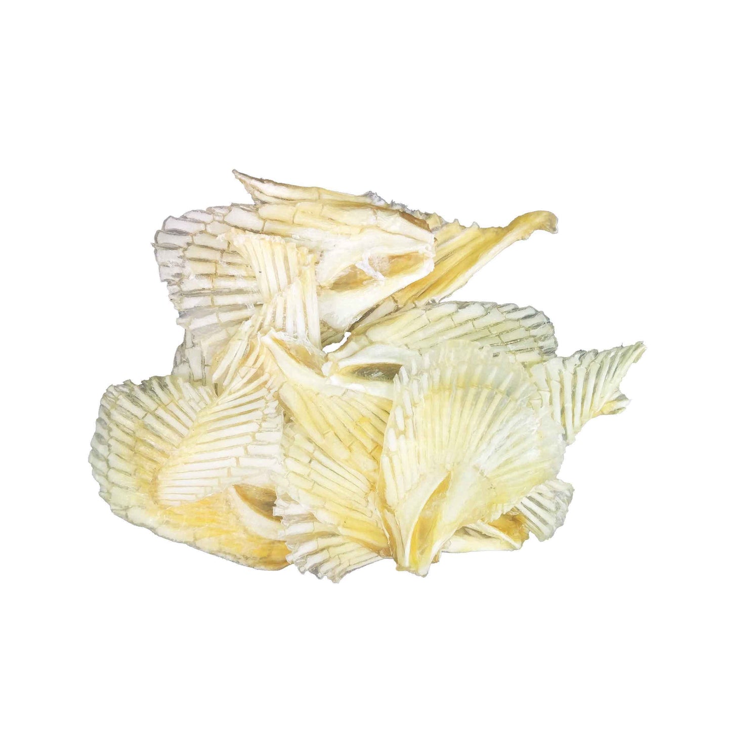 ボクボク　サメ軟骨ウィング 50g