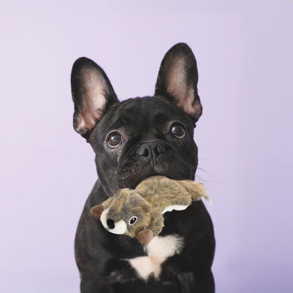 ユーゴー　犬用おもちゃ　フォレストスクワール S