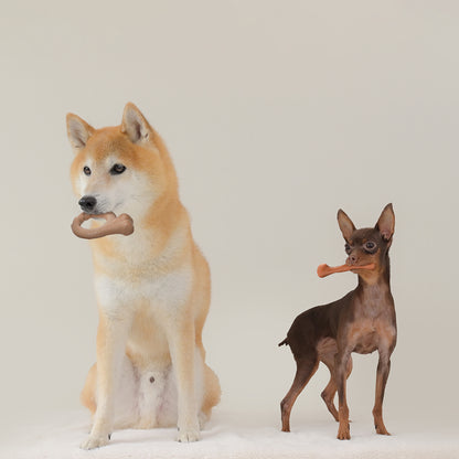ループ　犬用おもちゃ　デンタル　ヘイローボーン
