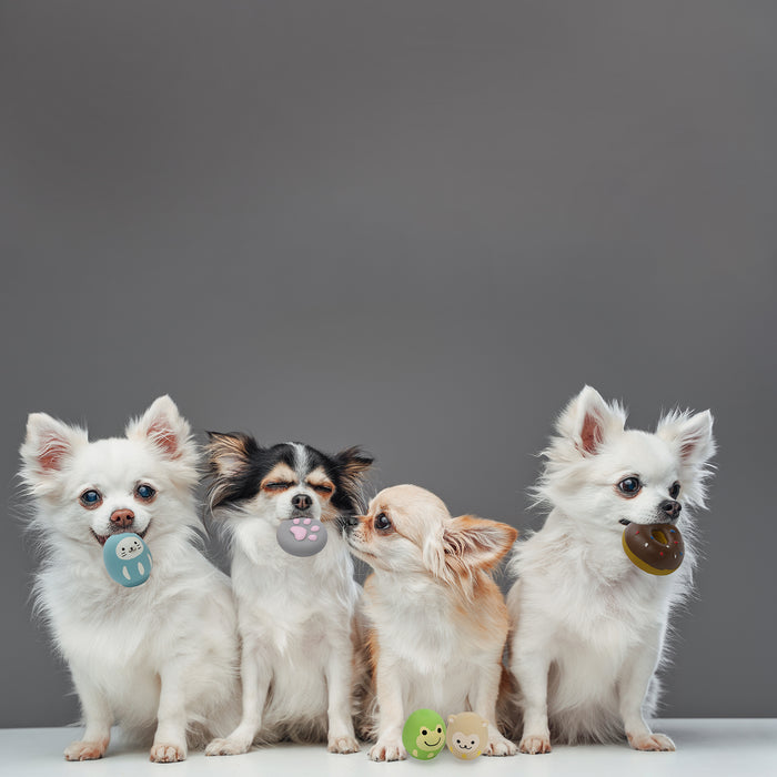 ループ　犬用おもちゃ　プーピーズ　ぱんだ