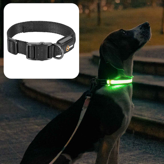 ドッグネス　LED首輪　　オニキスブラック