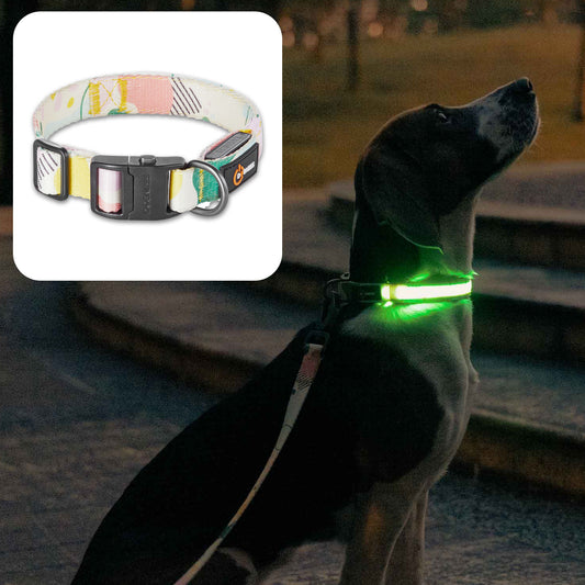 ドッグネス　LED首輪　アブストイエロー