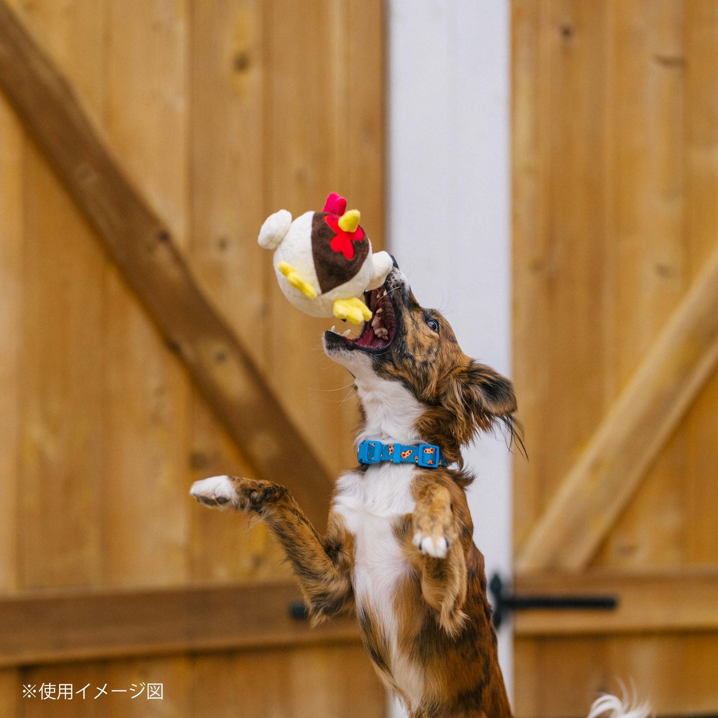 プレイ　犬用おもちゃ　バーンヤードバディーズ