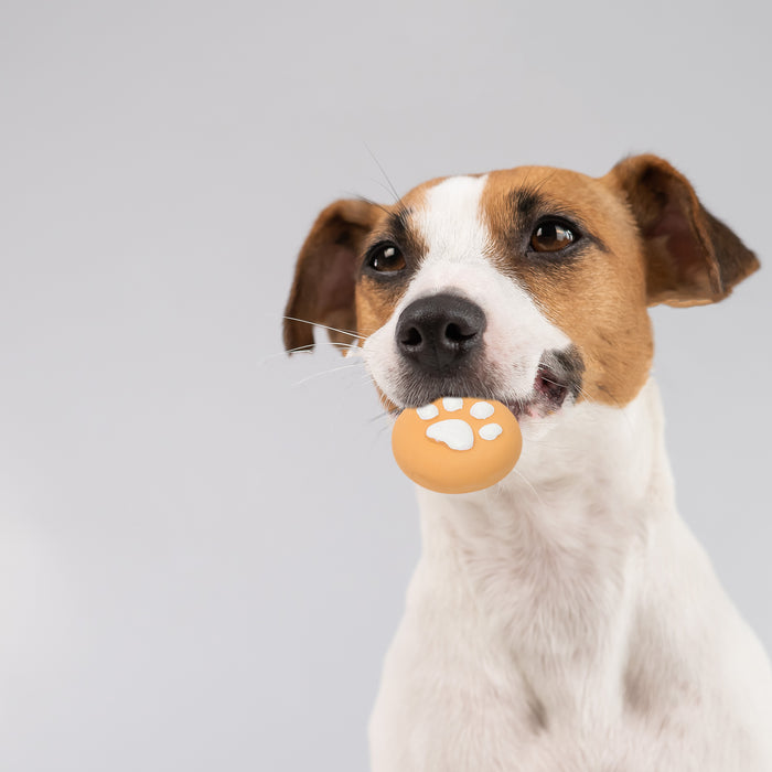 ループ　犬用おもちゃ　プーピーズ　パウクッキー