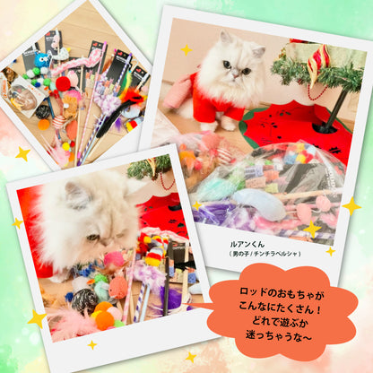 ルークラン　猫用おもちゃ　わくわくセット