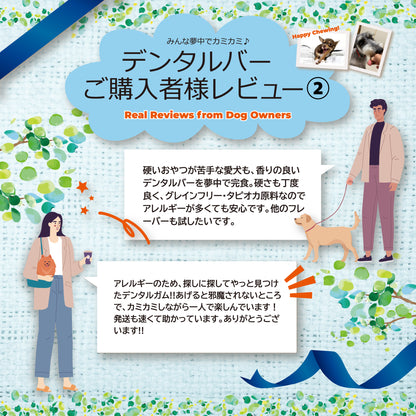 グディーズ　デンタルバー　ラムフレーバー