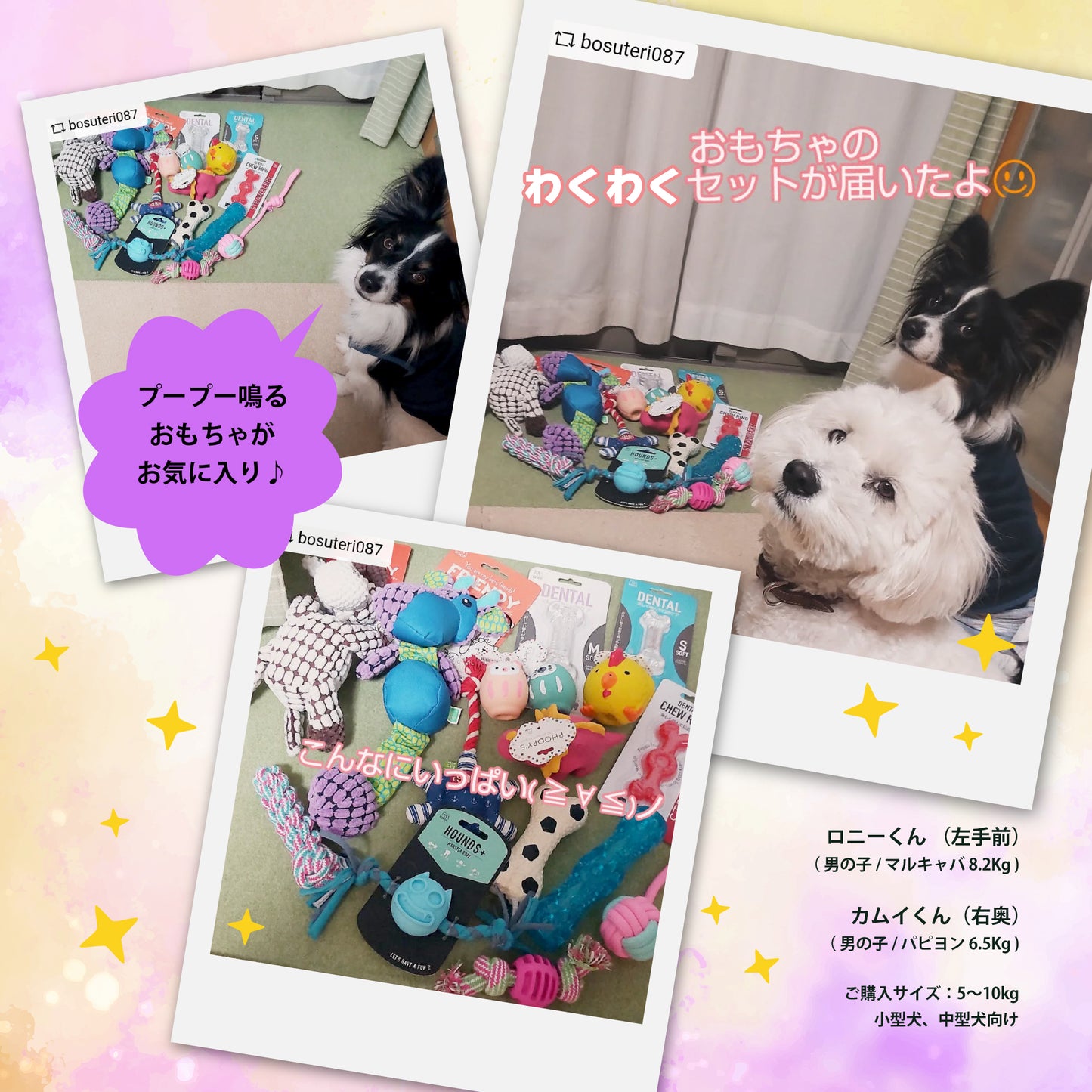 ルークラン　犬用おもちゃ　わくわくセット