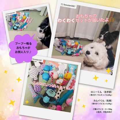 ルークラン　犬用おもちゃ　わくわくセット