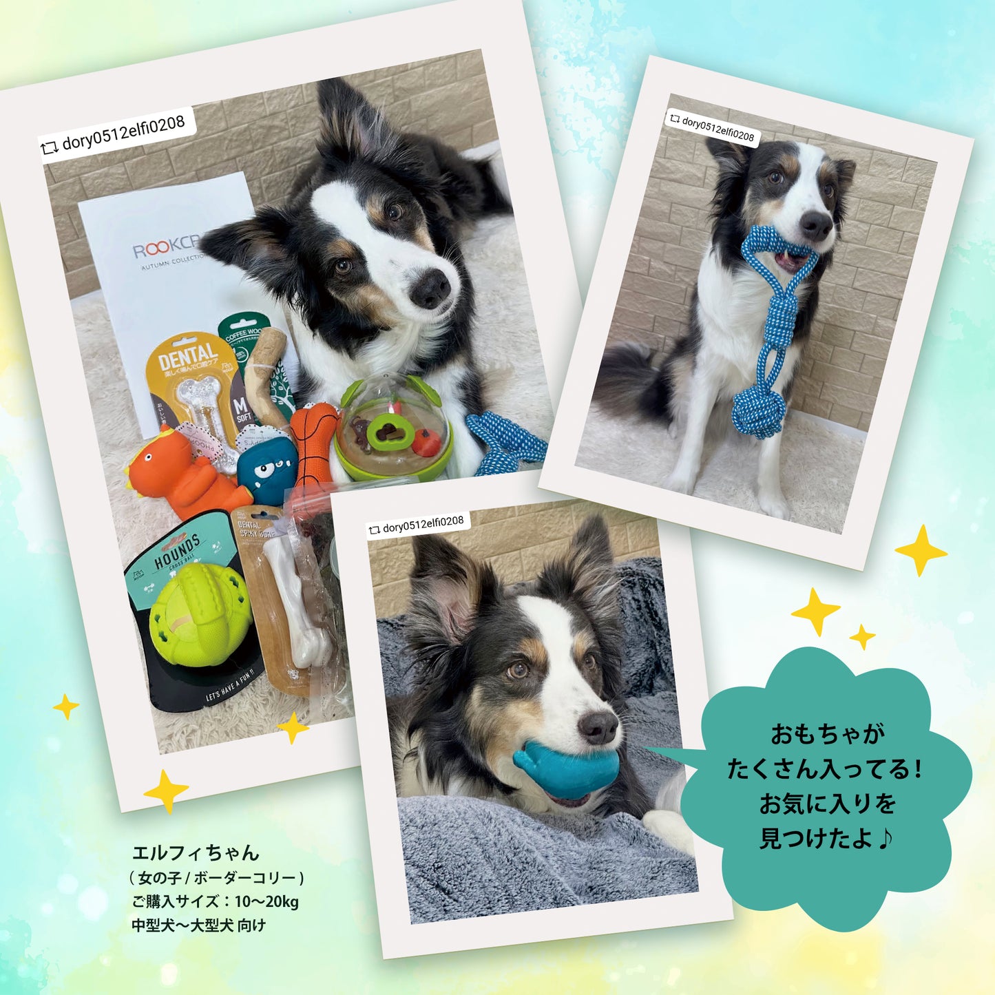 ルークラン　犬用おもちゃ　わくわくセット