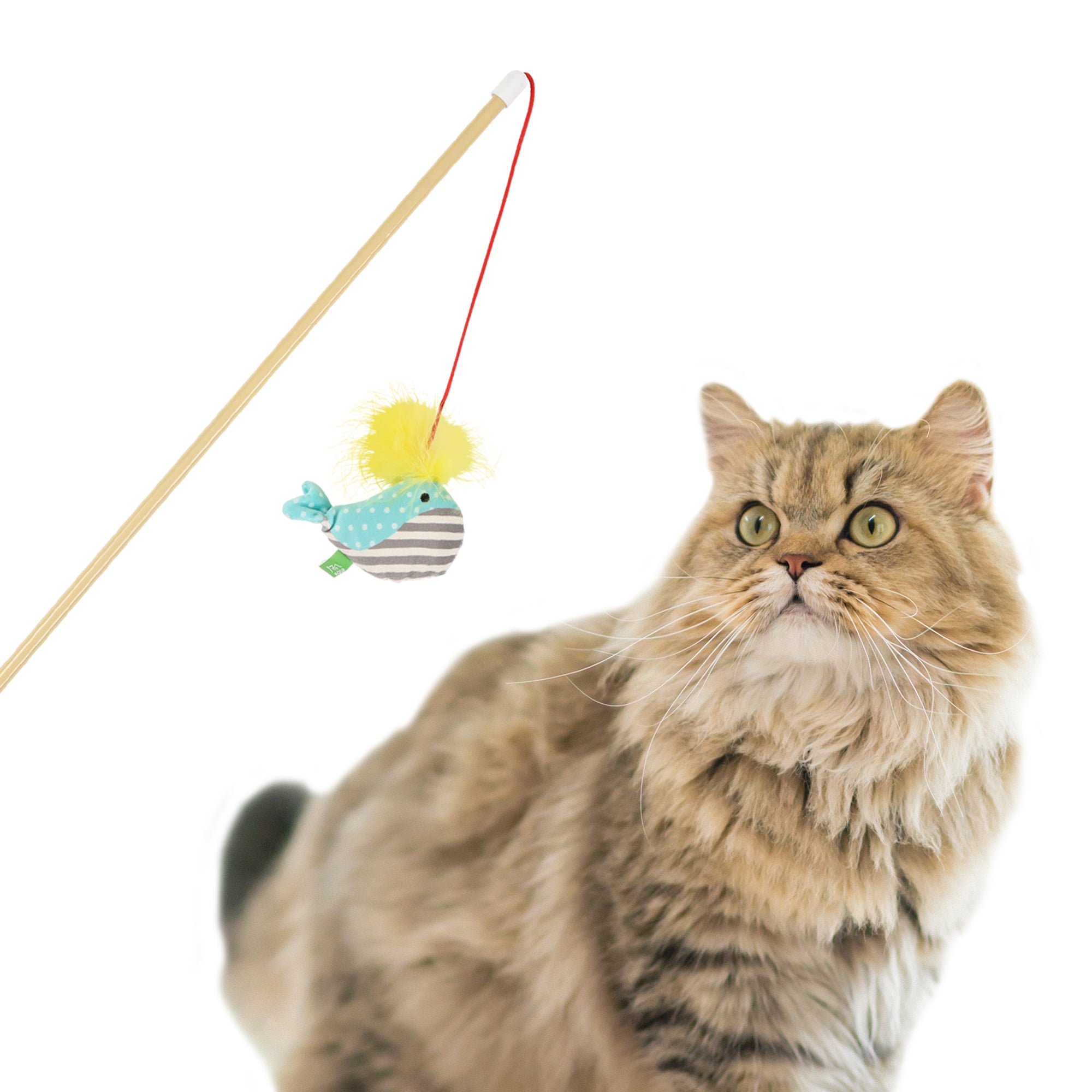 ループ 猫用おもちゃ ロッディーズ サーカスシリーズ – ルークラン