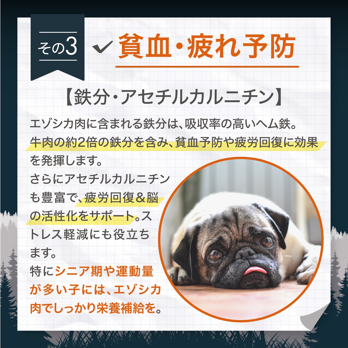 ナチュラルグレイス　エゾシカ　脊髄骨粗挽き　50g