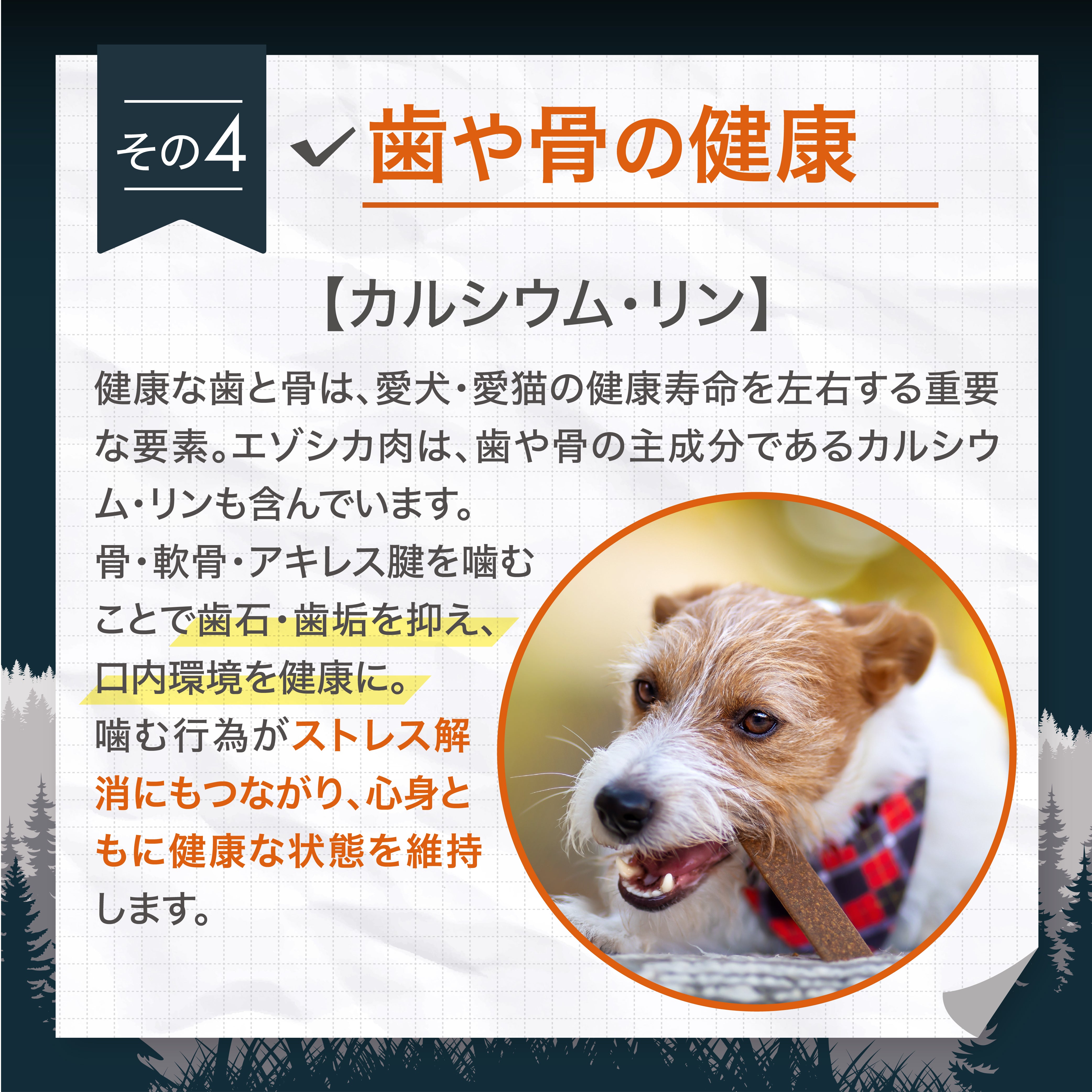 ナチュラルグレイス エゾシカ 胃袋 20g – ルークランオンライン