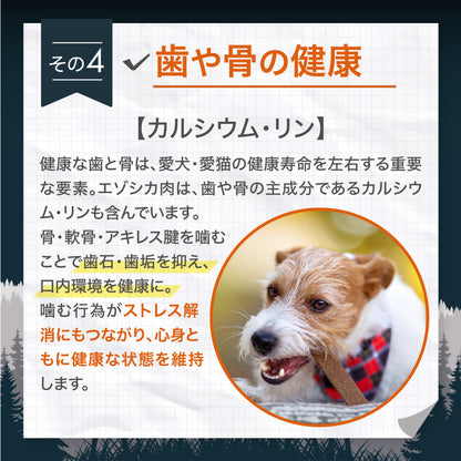 ナチュラルグレイス　エゾシカ　大腿骨　1本