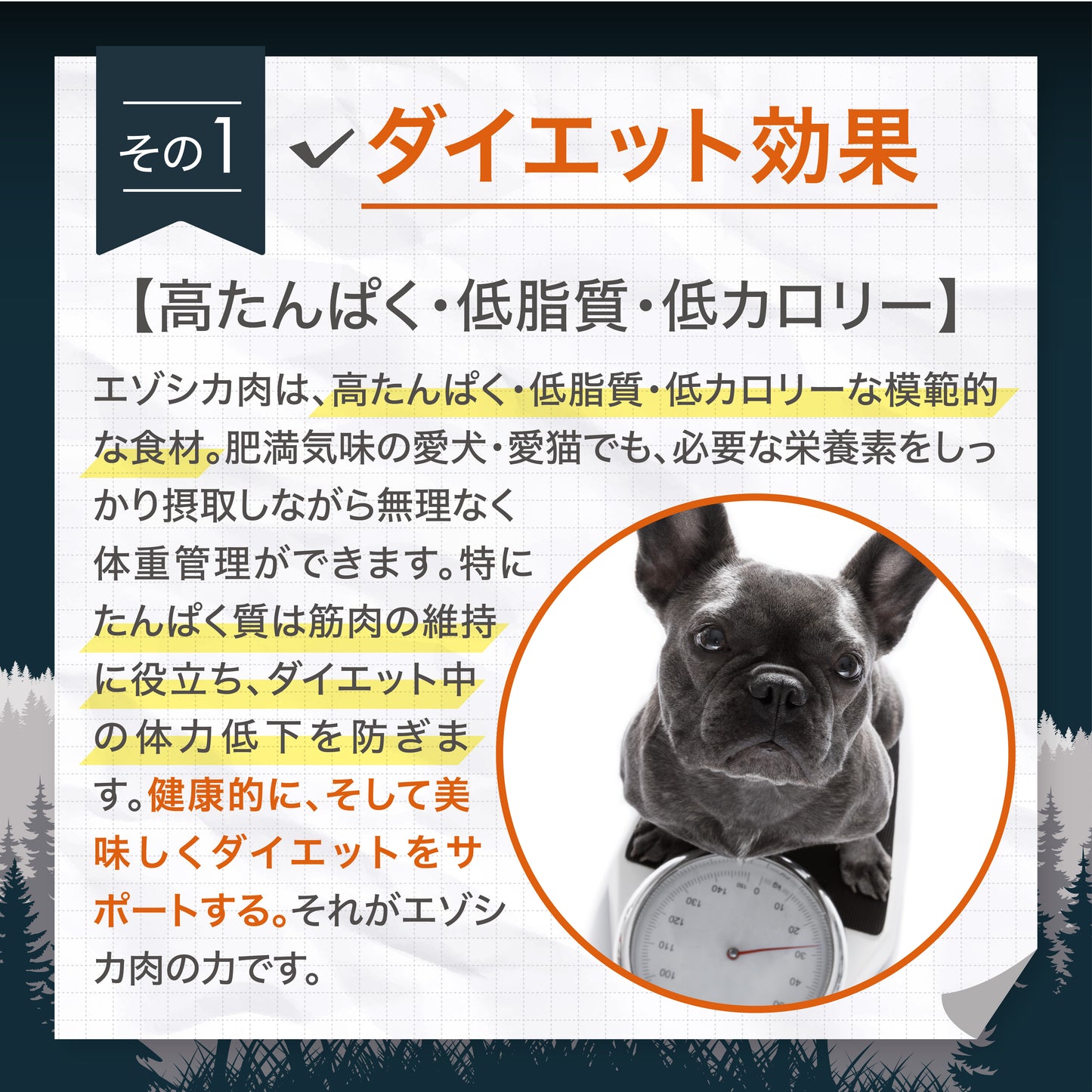 ナチュラルグレイス　エゾシカ　脛骨　1本