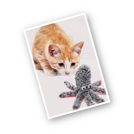 ループ 猫用おもちゃ キャットフレンディ タコ — ルークラン