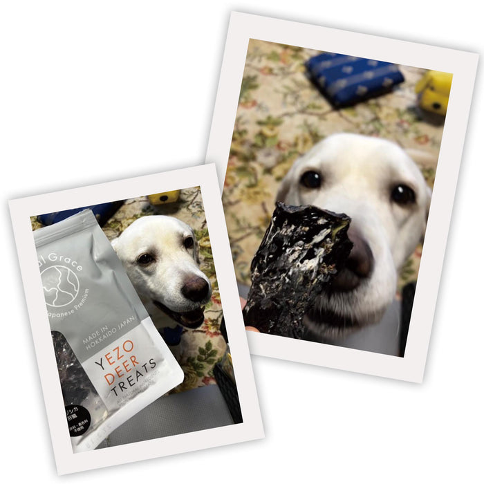 ナチュラルグレイス　エゾシカ　肝臓　30g