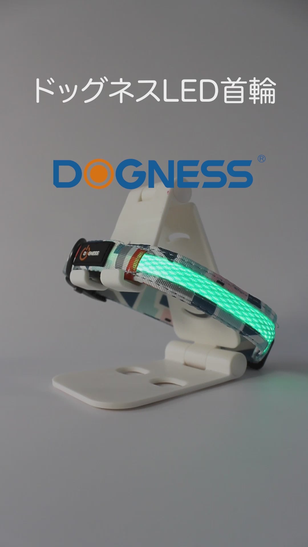 ドッグネス LED首輪 オニキスブラック – ルークランオンライン